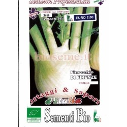 hinojo de Florencia semillas ecolÃ³gicas