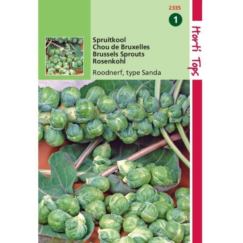 col de Bruselas roodnerf