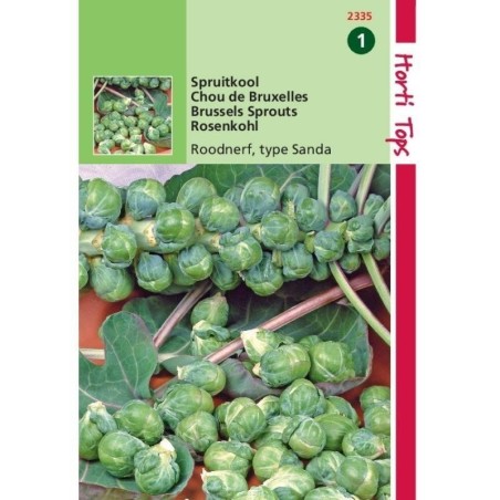 col de Bruselas roodnerf