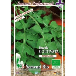 rucula cultivada (semillas ecolÃ³gicas)