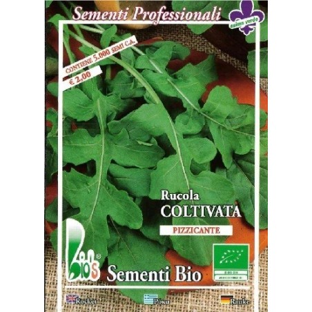 rucula cultivada (semillas ecolÃ³gicas)
