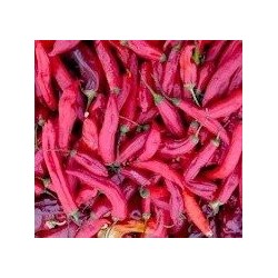 pimiento Jimmy Nardellos