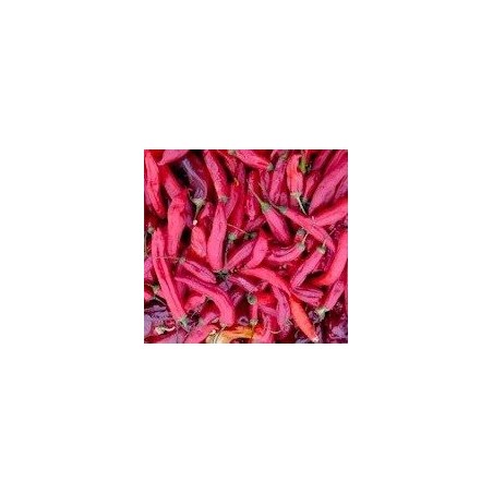 pimiento Jimmy Nardellos