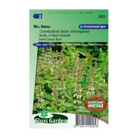 Albahaca limÃ³n de la seÃ±ora Burns