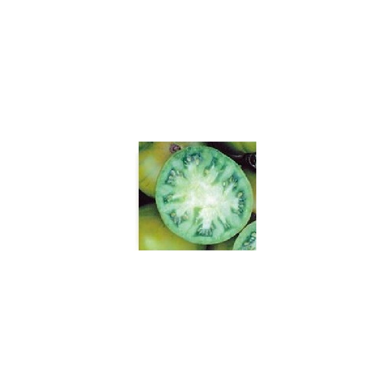 tomate evergreen (semillas biodinamicas)