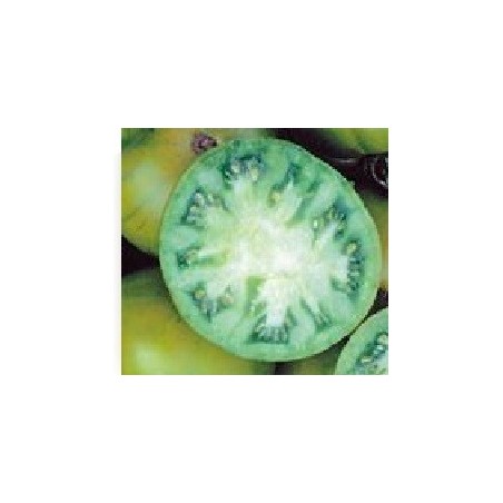tomate evergreen (semillas biodinamicas)