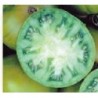 tomate evergreen (semillas biodinamicas)