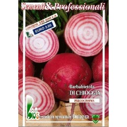 remolacha Chioggia (semillas ecolÃ³gicas)