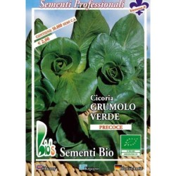 achicoria grumolo verde - semillas ecolÃ³gicas