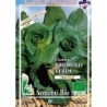 achicoria grumolo verde - semillas ecolÃ³gicas