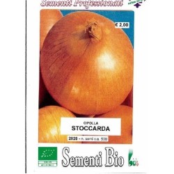 cebolla amarilla stoccarda semillas ecolÃ³gicas