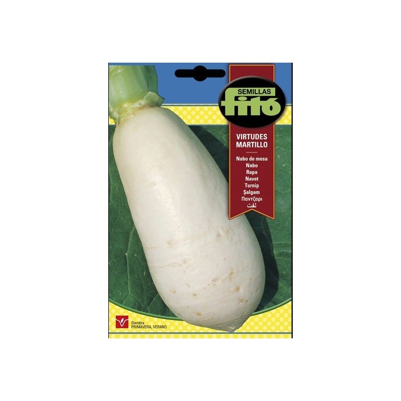 nabo martillo de las virtudes
