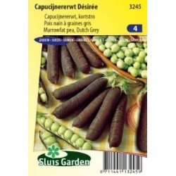 guisante azul de grano gris Desiree