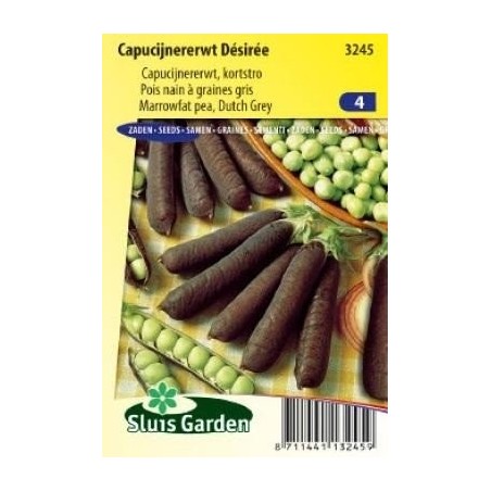 guisante azul de grano gris Desiree