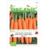 zanahoria Merida F1 (semillas ecolÃ³gicas)