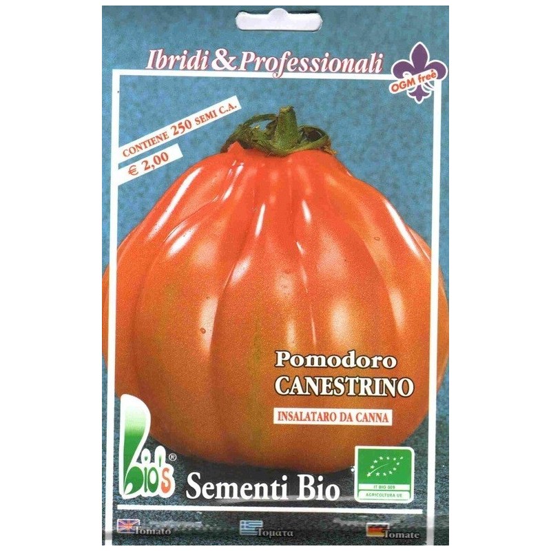 tomate canestrino (semillas ecolÃ³gicas)