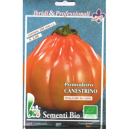 tomate canestrino (semillas ecolÃ³gicas)
