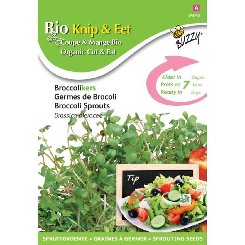 brotes de brocoli ecolÃ³gicos