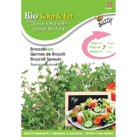 brotes de brocoli ecolÃ³gicos