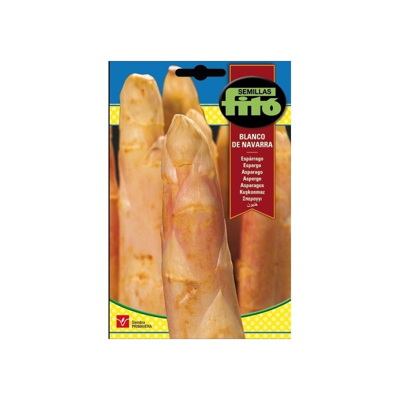 esparrago blanco de Navarra