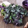 kale red russian semillas no tratadas