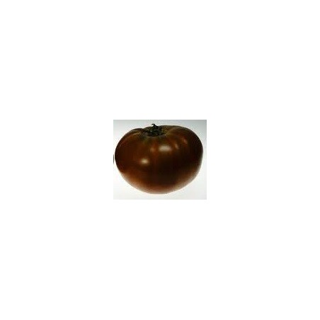 tomate Paul Robeson (semillas sin tratamiento)