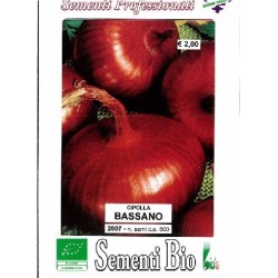 cebolla bassano (semillas ecologicas)