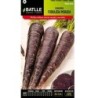 zanahoria morada forrajera