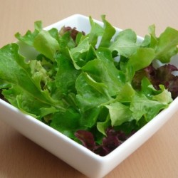 Lechuga Baby Leaf Mix - semillas no tratadas