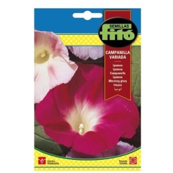 ipomea variada - campanilla