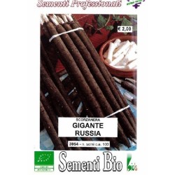 scorzonera (semillas ecolÃ³gicas)