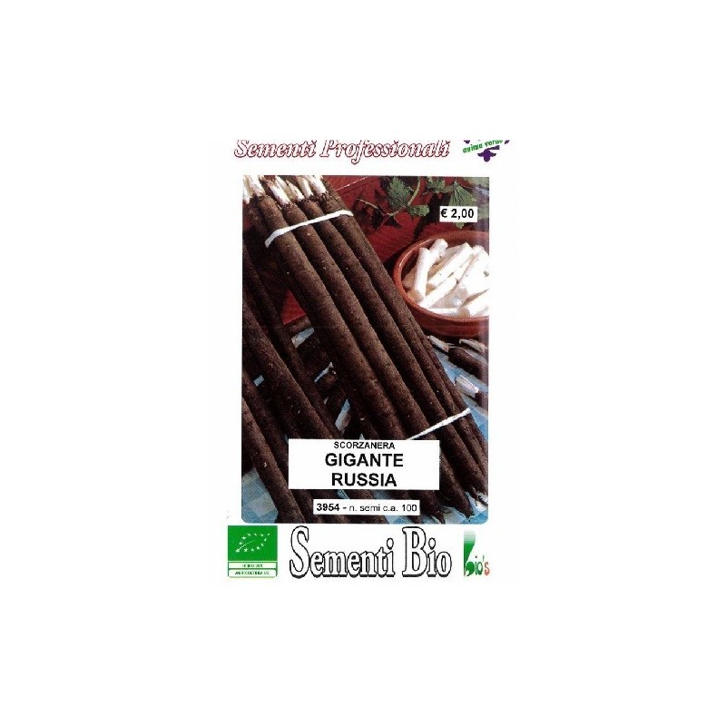 scorzonera (semillas ecolÃ³gicas)