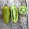 tomate green sausage (semillas ecolÃ³gicas)