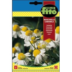 manzanilla - camomila