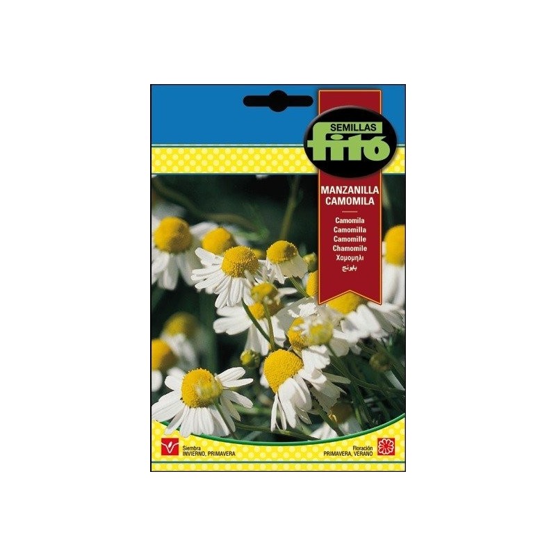 manzanilla - camomila