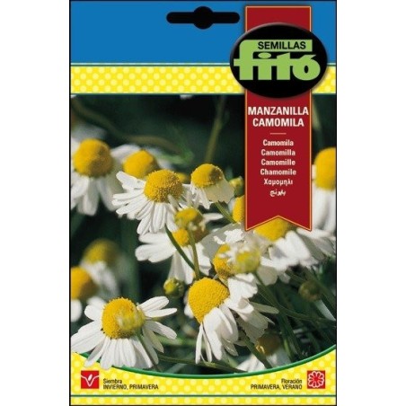 manzanilla - camomila
