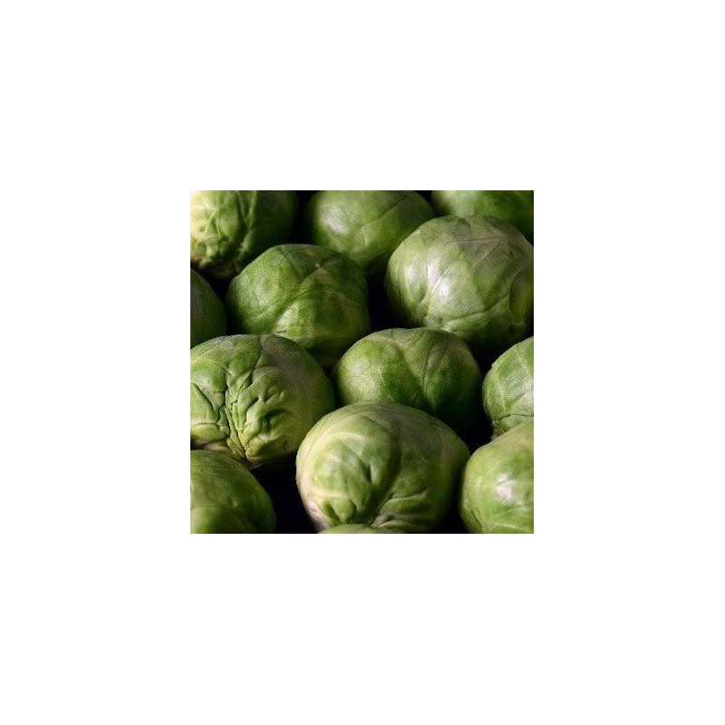 Col de Bruselas idemar - semillas no tratadas