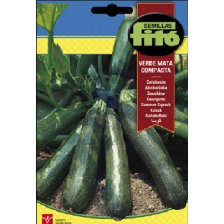 calabacin verde mata compacta