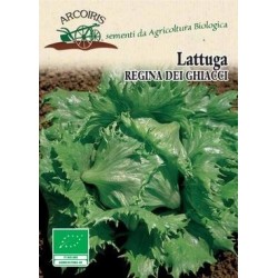 lechuga reina del hielo semillas ecolÃ³gicas Arcoiris