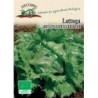 lechuga reina del hielo semillas ecolÃ³gicas Arcoiris