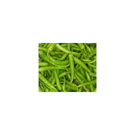 semillas de guindilla ibarra