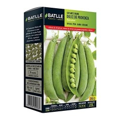 guisante enano dulce de provenza