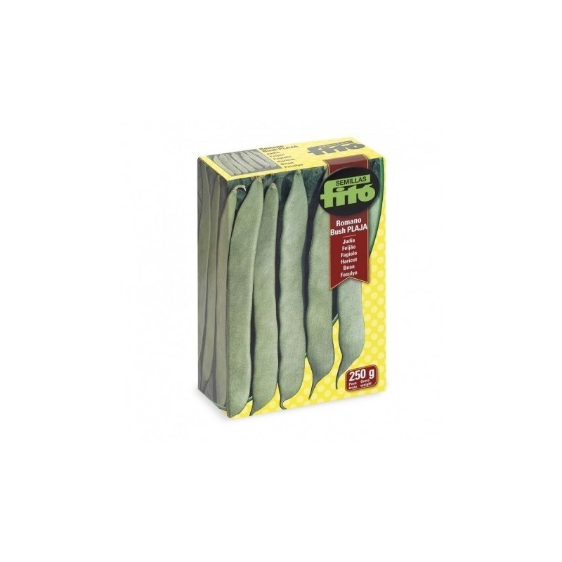 judia romano bush Plaja