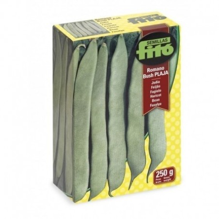 judia romano bush Plaja