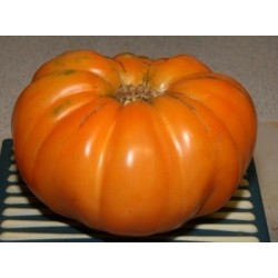 Tomate kellogg's breakfast