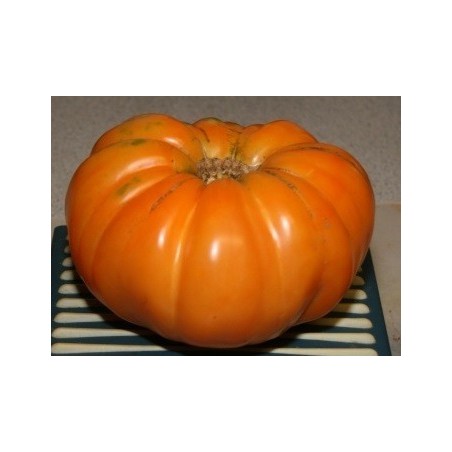 Tomate kellogg's breakfast