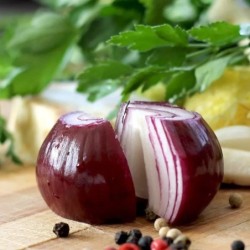 cebolla roja red baron - semillas no tratadas