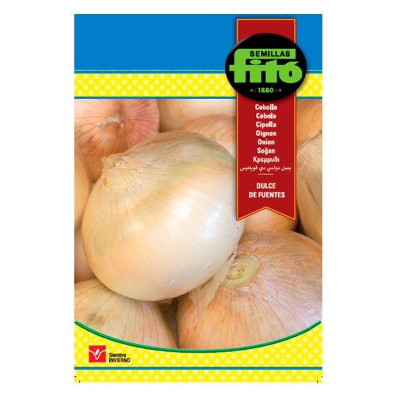 cebolla dulce de Fuentes - semillas fitÃ³