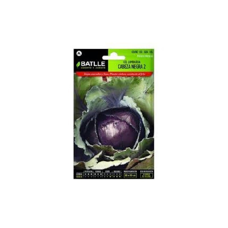 col lombarda cabeza negra 2