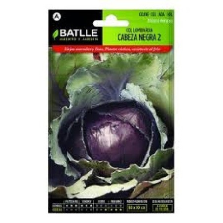 col lombarda cabeza negra 2